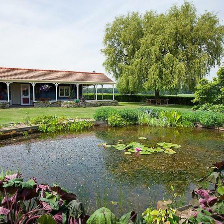 Inge'S Cottage Bergen op Zoom Exteriér fotografie